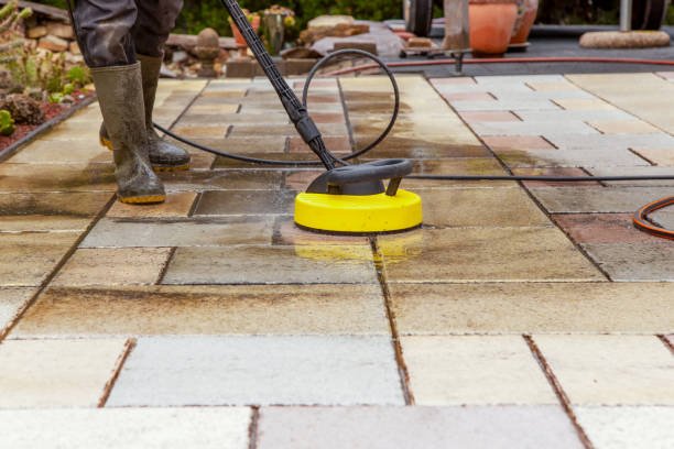 Best Driveway Pressure Washing  in Juno Ridge, FL